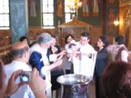 IMG_4428.JPG