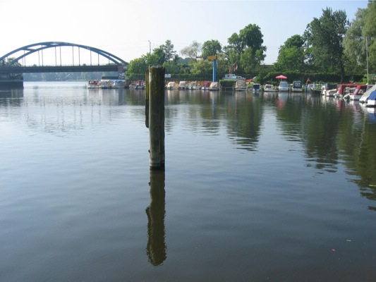 Loading Image